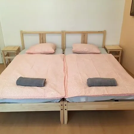 Downtown Janska Appartement Brno
