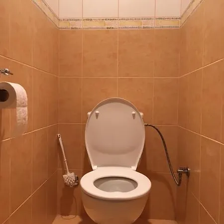 Downtown Janska Appartement *