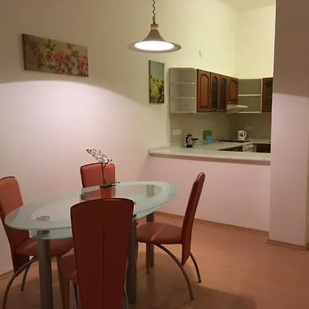 Appartement Downtown Janska