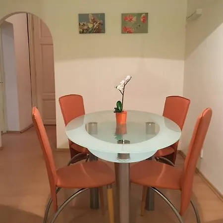 Downtown Janska Appartement